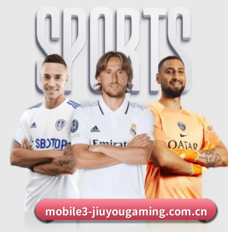 五大体育板块覆盖,从比分到直播全覆盖 - 多运动项目内容板块