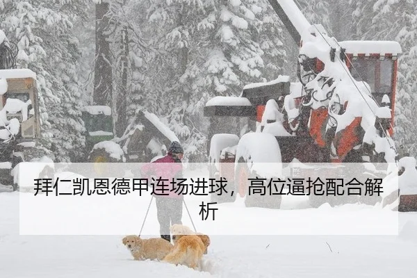 拜仁凯恩德甲连场进球，高位逼抢配合解析